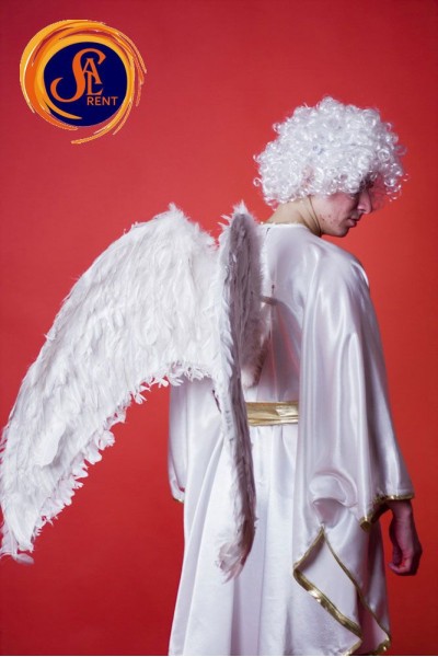 Крила великі білі