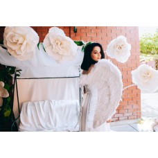 Крила великі білі