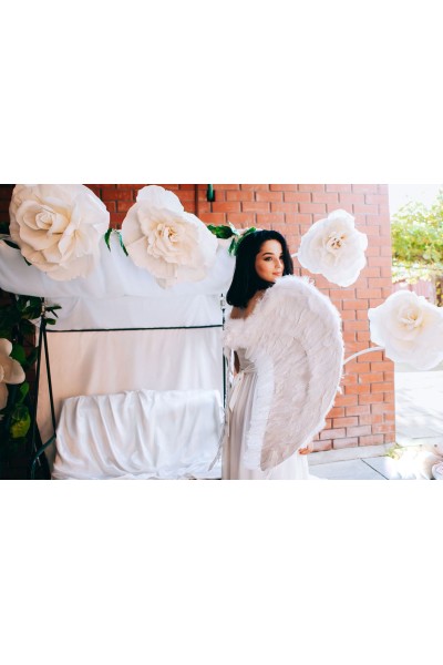 Крила великі білі