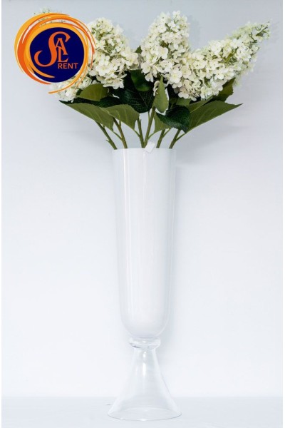 Бузок білий