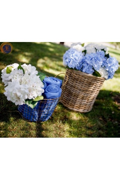 Гортензія біла кущ