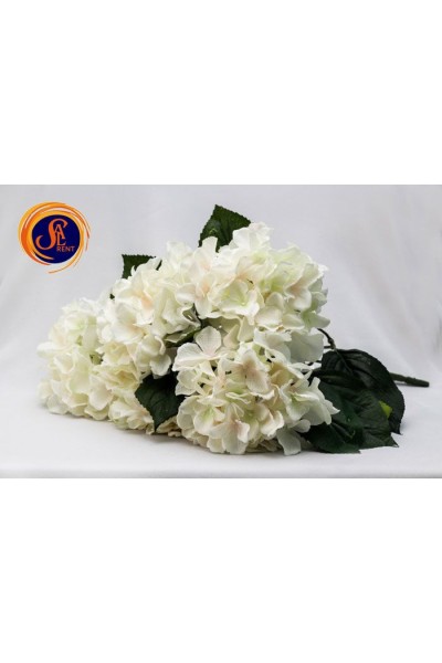 Гортензія біла кущ