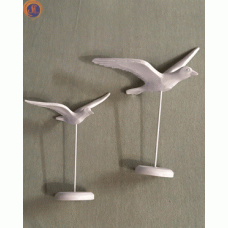 Чайка декоративна