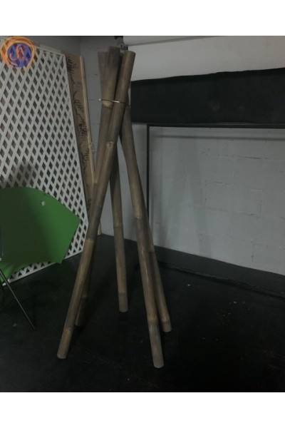 Бамбукові палиці