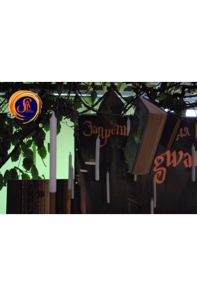 Гаррі Поттер