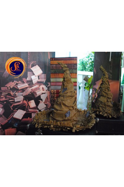 Гаррі Поттер