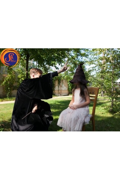 Гаррі Поттер