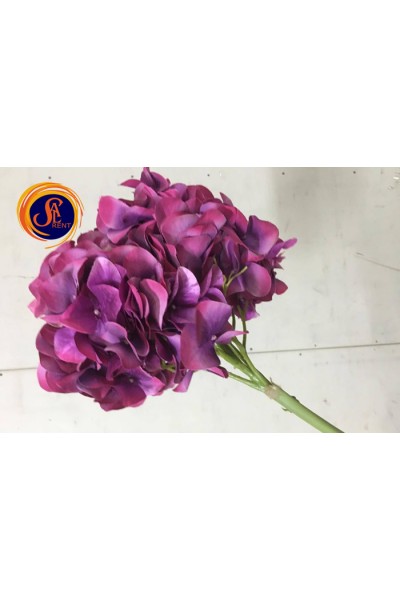 Гортензія лілова