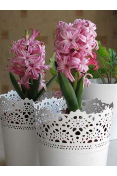 Кашпо з мереживом