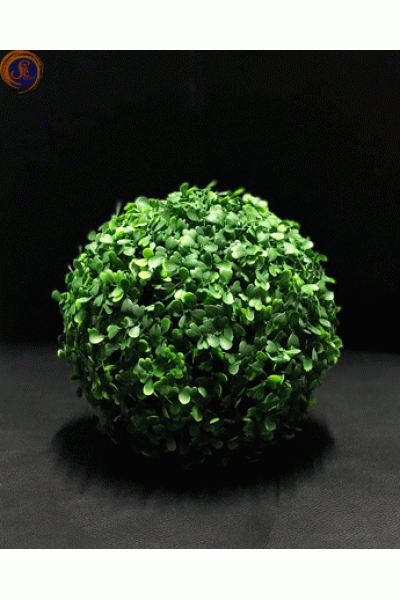 Кущ самшиту