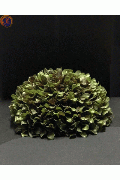 Кущ самшиту