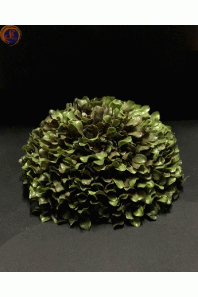 Кущ самшиту