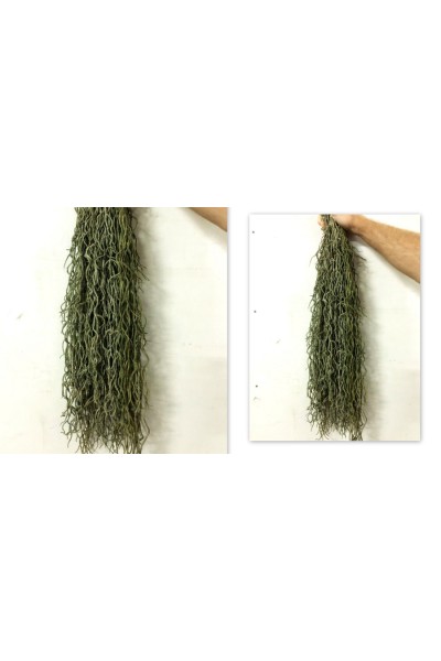 Водорості штучні