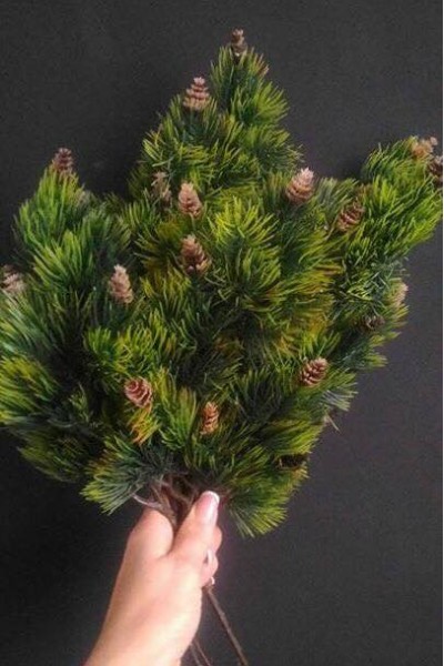 Гілки хвойні