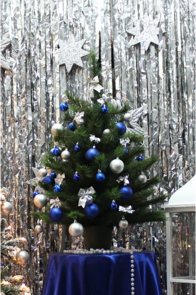 Сосна в горщику (0,9 м)