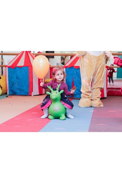 Палатка Circus