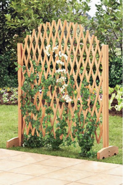 Паркан декоративний