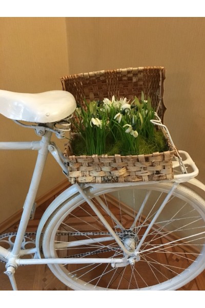 Фотозона «Дорога у прованс»