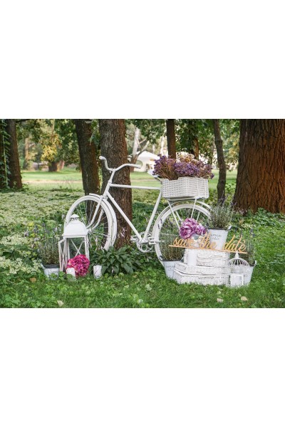 Сундук білий «Прованс»