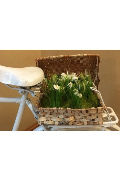 Корзинка плетена