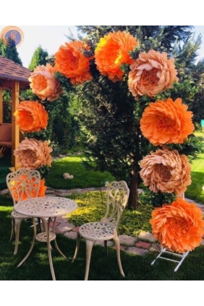 Напівкругла арка