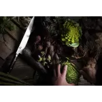 Як обрати ніж Yaxell за спеціалізацією: м’ясо, риба, вегетаріанська кухня