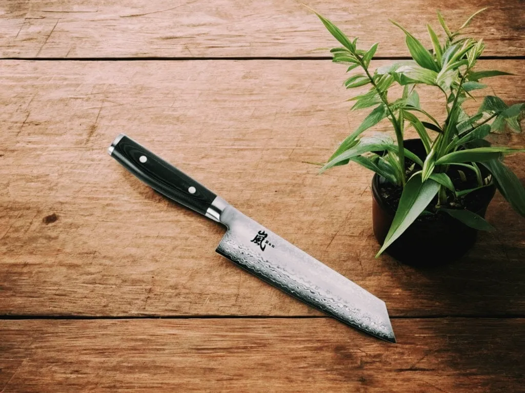 Світова слава японського ножа Yaxell RAN